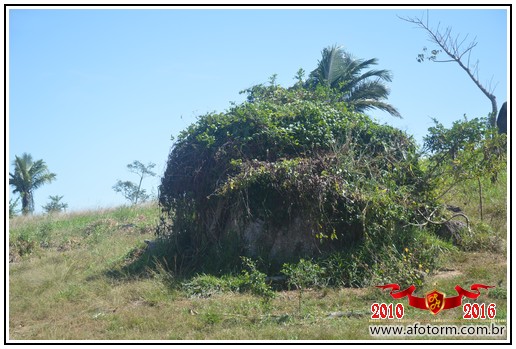 rolim de moura